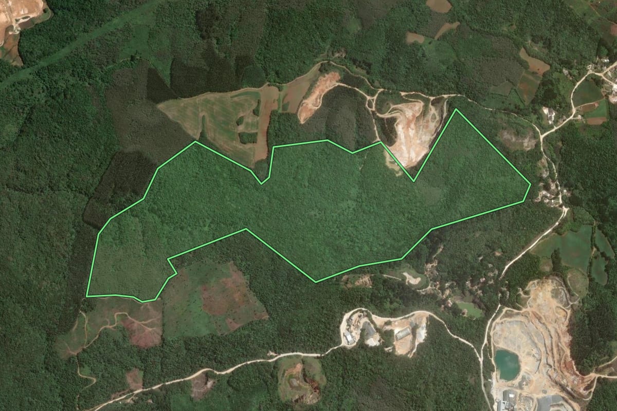 Imagem de satélite do imóvel rural em Almirante Tamandaré (PR), com o contorno declarado no CAR desenhado por cima.