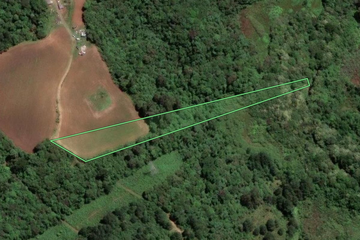 Imagem de satélite do imóvel rural em Almirante Tamandaré (PR), com o contorno declarado no CAR desenhado por cima.
