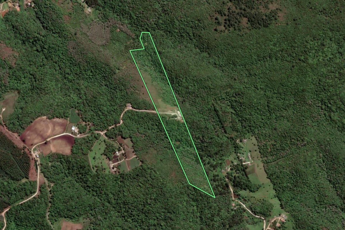 Imagem de satélite do imóvel rural em Almirante Tamandaré (PR), com o contorno declarado no CAR desenhado por cima.