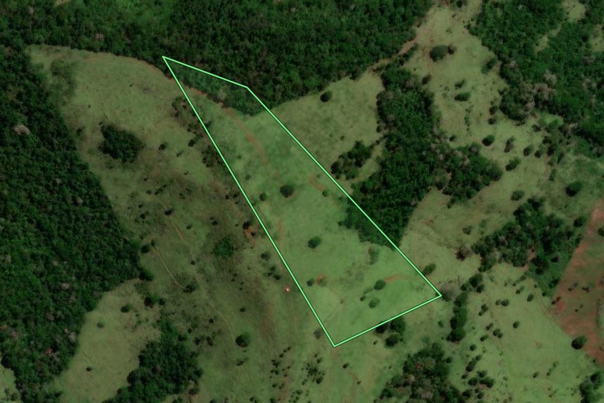 Imagem de satélite do imóvel rural em Altamira do Paraná (PR), com o contorno declarado no CAR desenhado por cima.