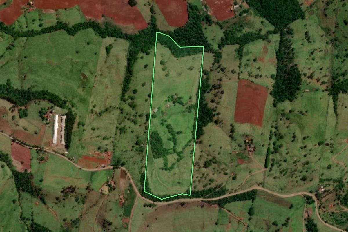 Imagem de satélite do imóvel rural em Altamira do Paraná (PR), com o contorno declarado no CAR desenhado por cima.