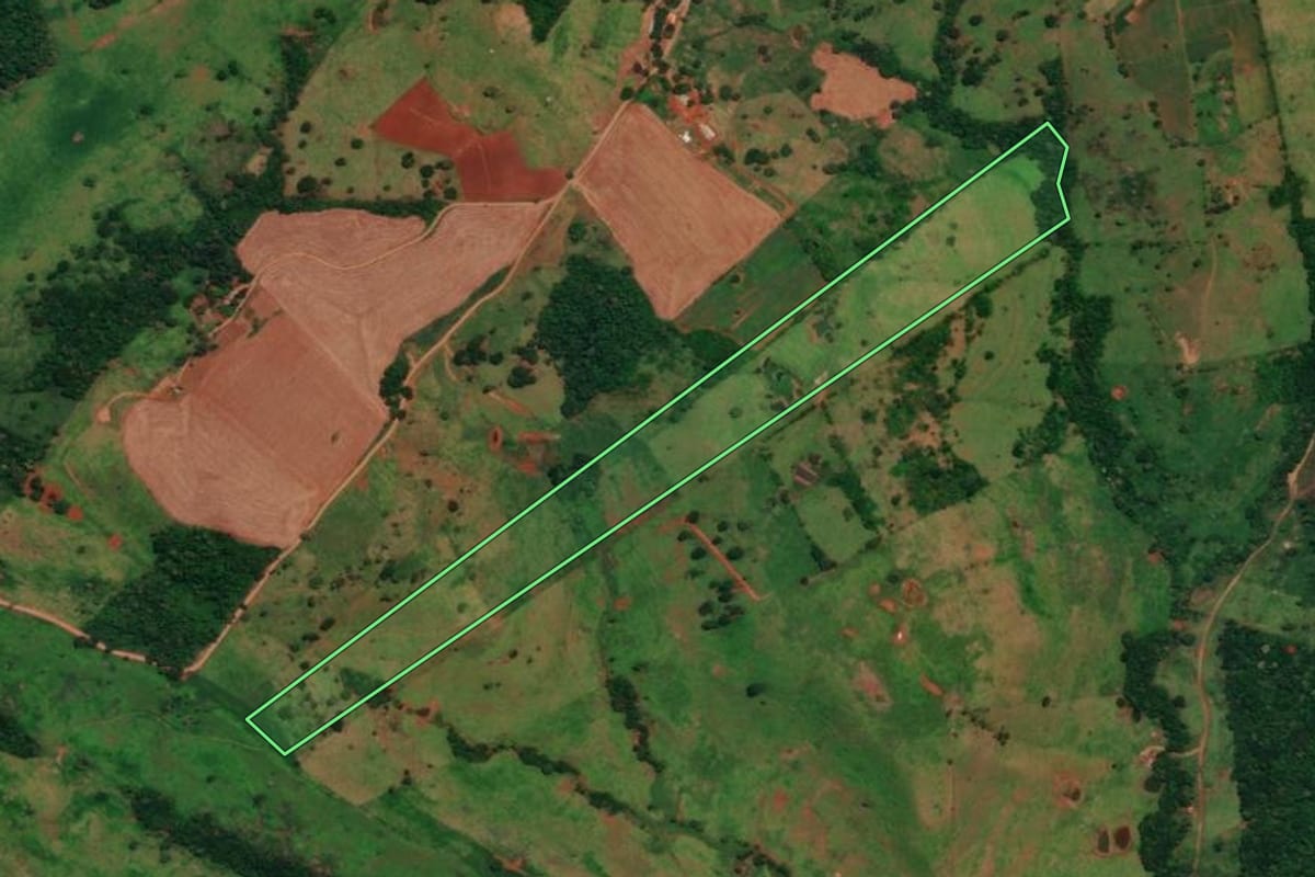 Imagem de satélite do imóvel rural em Altamira do Paraná (PR), com o contorno declarado no CAR desenhado por cima.