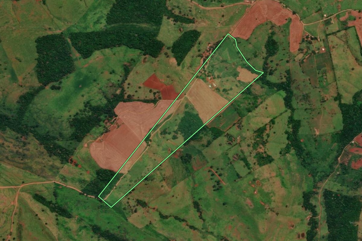 Imagem de satélite do imóvel rural em Altamira do Paraná (PR), com o contorno declarado no CAR desenhado por cima.