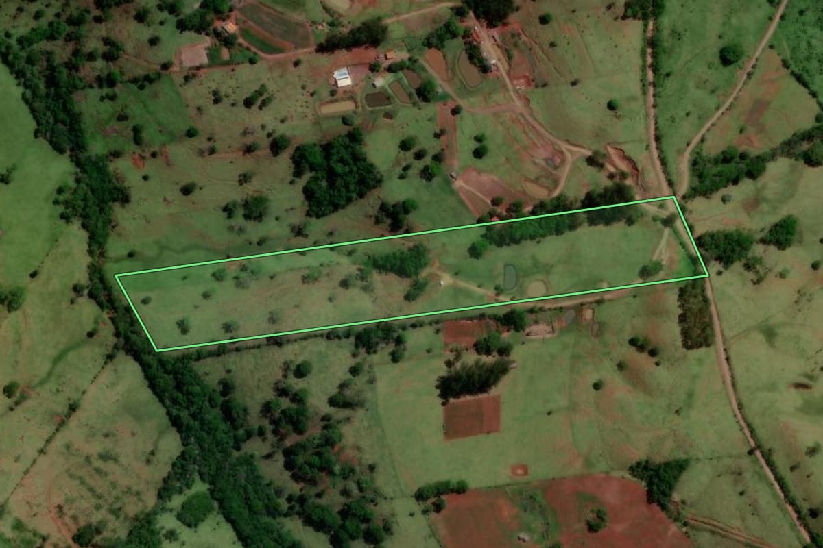 Imagem de satélite do imóvel rural em Altamira do Paraná (PR), com o contorno declarado no CAR desenhado por cima.