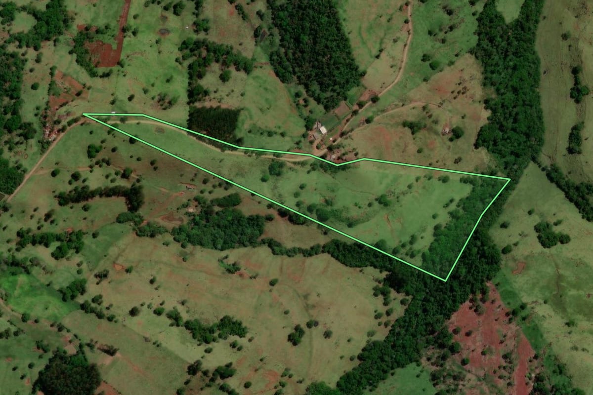 Imagem de satélite do imóvel rural em Altamira do Paraná (PR), com o contorno declarado no CAR desenhado por cima.
