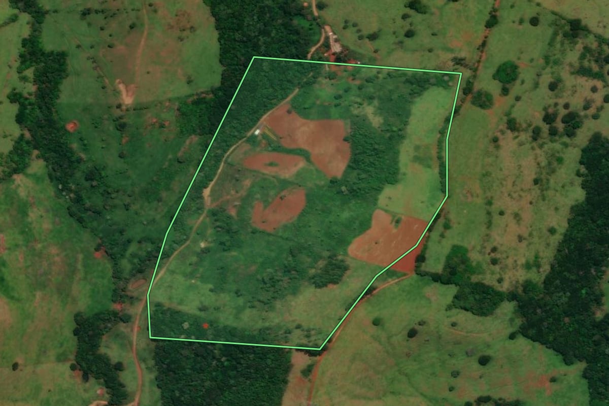 Imagem de satélite do imóvel rural em Altamira do Paraná (PR), com o contorno declarado no CAR desenhado por cima.