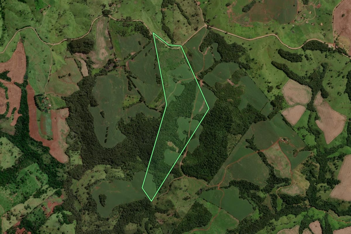 Imagem de satélite do imóvel rural em Altamira do Paraná (PR), com o contorno declarado no CAR desenhado por cima.