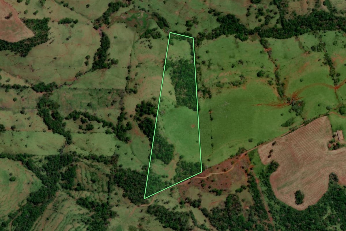 Imagem de satélite do imóvel rural em Altamira do Paraná (PR), com o contorno declarado no CAR desenhado por cima.