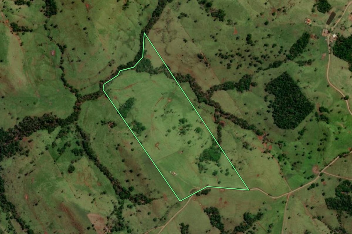 Imagem de satélite do imóvel rural em Altamira do Paraná (PR), com o contorno declarado no CAR desenhado por cima.