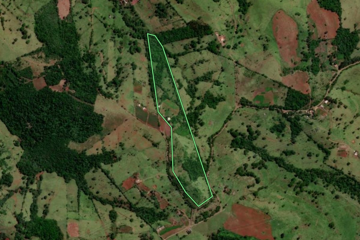 Imagem de satélite do imóvel rural em Altamira do Paraná (PR), com o contorno declarado no CAR desenhado por cima.