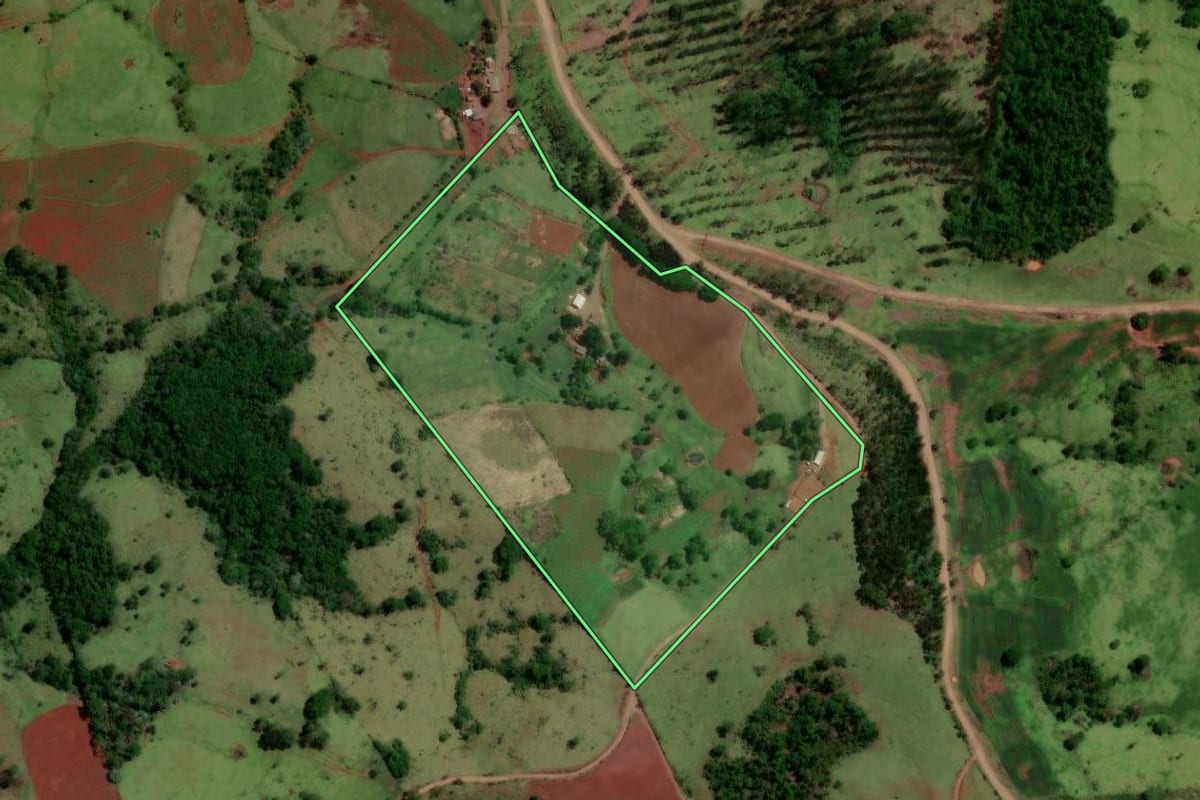 Imagem de satélite do imóvel rural em Altamira do Paraná (PR), com o contorno declarado no CAR desenhado por cima.