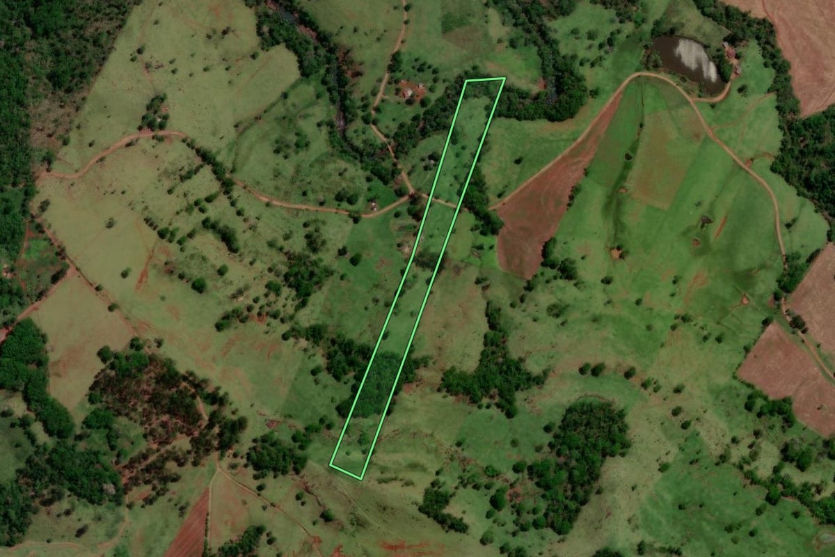 Imagem de satélite do imóvel rural em Altamira do Paraná (PR), com o contorno declarado no CAR desenhado por cima.