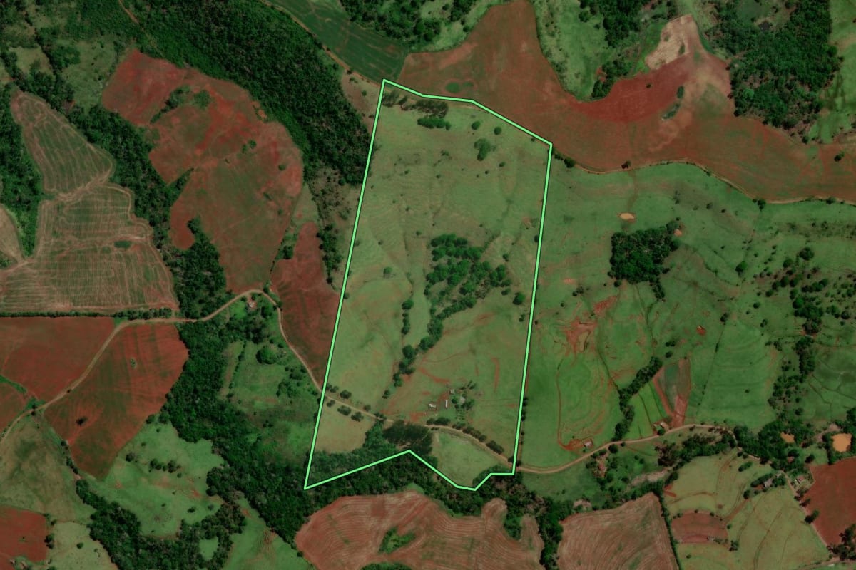 Imagem de satélite do imóvel rural em Altamira do Paraná (PR), com o contorno declarado no CAR desenhado por cima.