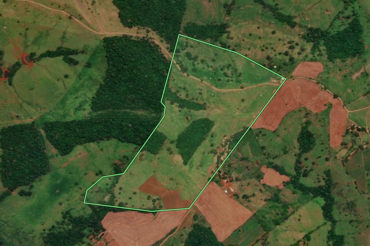 Imagem de satélite do imóvel rural em Altamira do Paraná (PR), com o contorno declarado no CAR desenhado por cima.