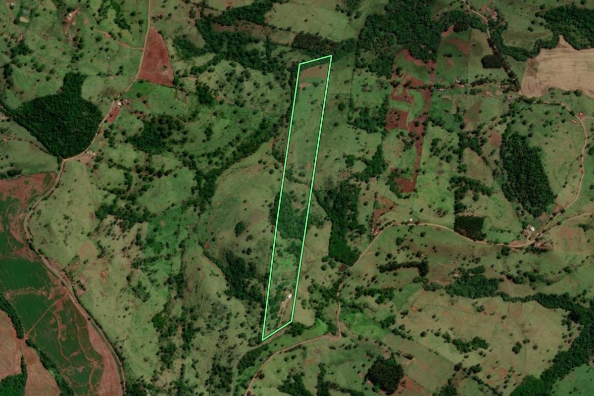 Imagem de satélite do imóvel rural em Altamira do Paraná (PR), com o contorno declarado no CAR desenhado por cima.