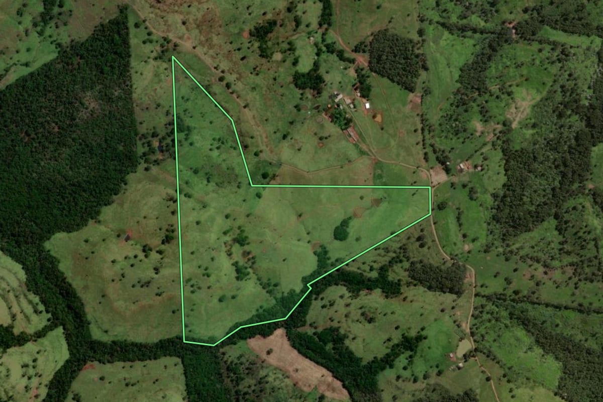Imagem de satélite do imóvel rural em Altamira do Paraná (PR), com o contorno declarado no CAR desenhado por cima.