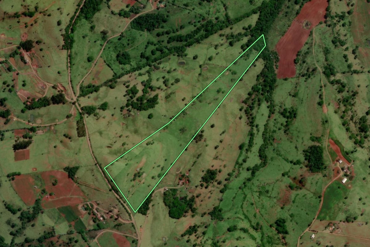 Imagem de satélite do imóvel rural em Altamira do Paraná (PR), com o contorno declarado no CAR desenhado por cima.