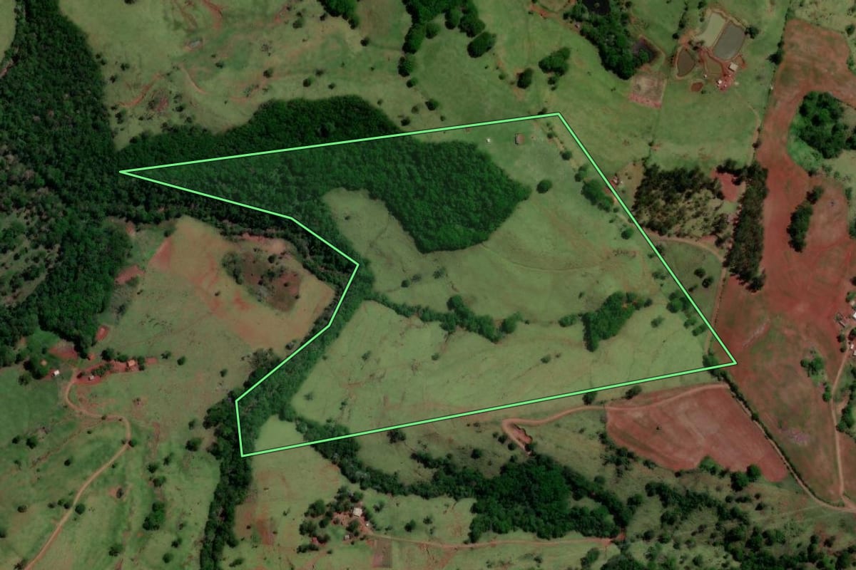 Imagem de satélite do imóvel rural em Altamira do Paraná (PR), com o contorno declarado no CAR desenhado por cima.