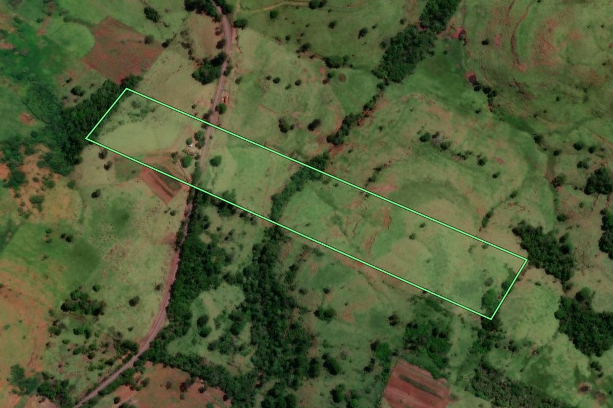 Imagem de satélite do imóvel rural em Altamira do Paraná (PR), com o contorno declarado no CAR desenhado por cima.
