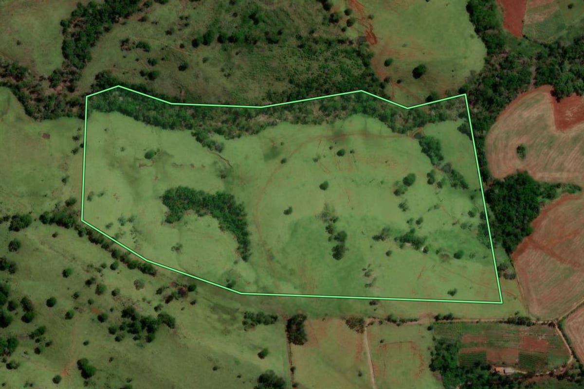 Imagem de satélite do imóvel rural em Altamira do Paraná (PR), com o contorno declarado no CAR desenhado por cima.