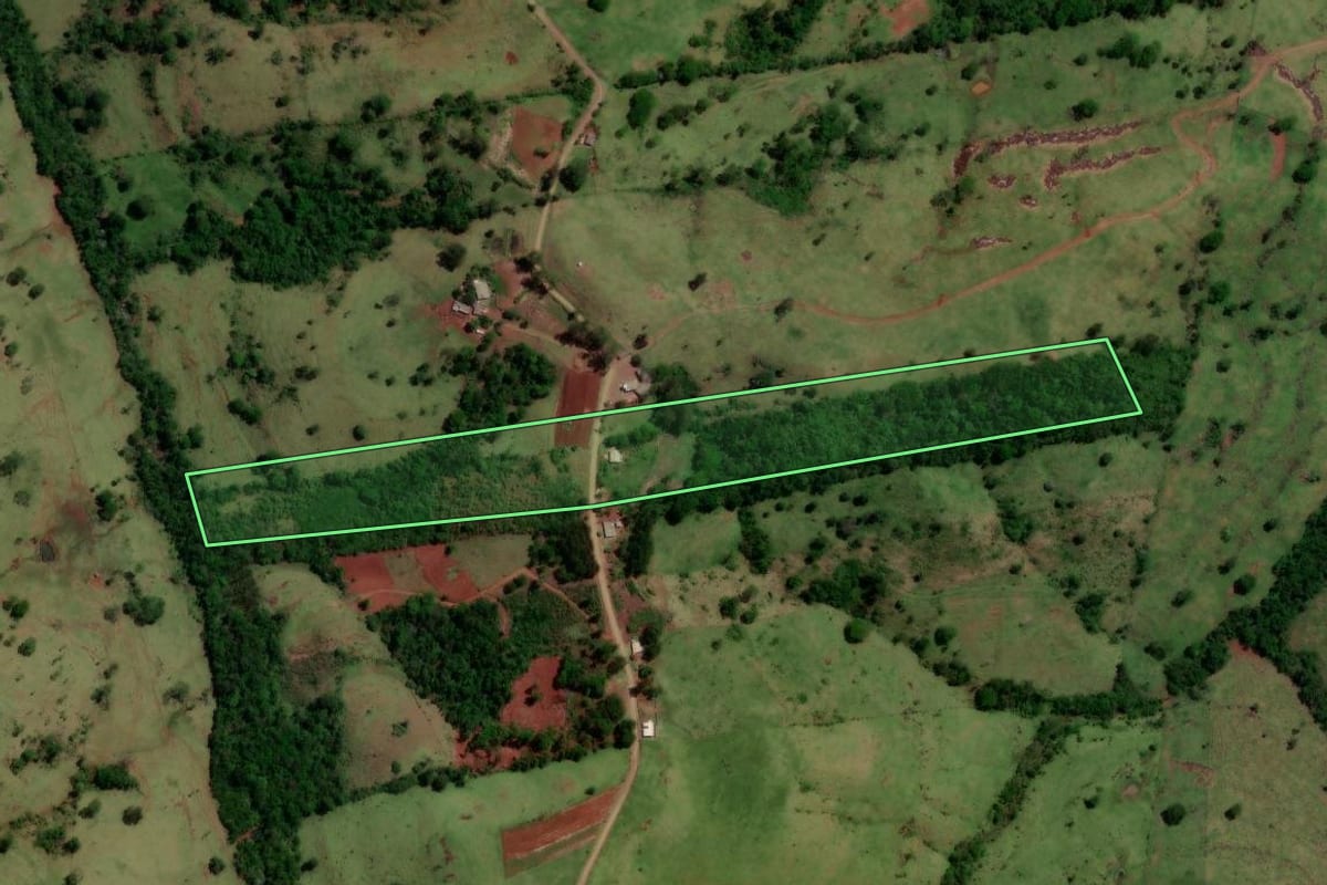 Imagem de satélite do imóvel rural em Altamira do Paraná (PR), com o contorno declarado no CAR desenhado por cima.