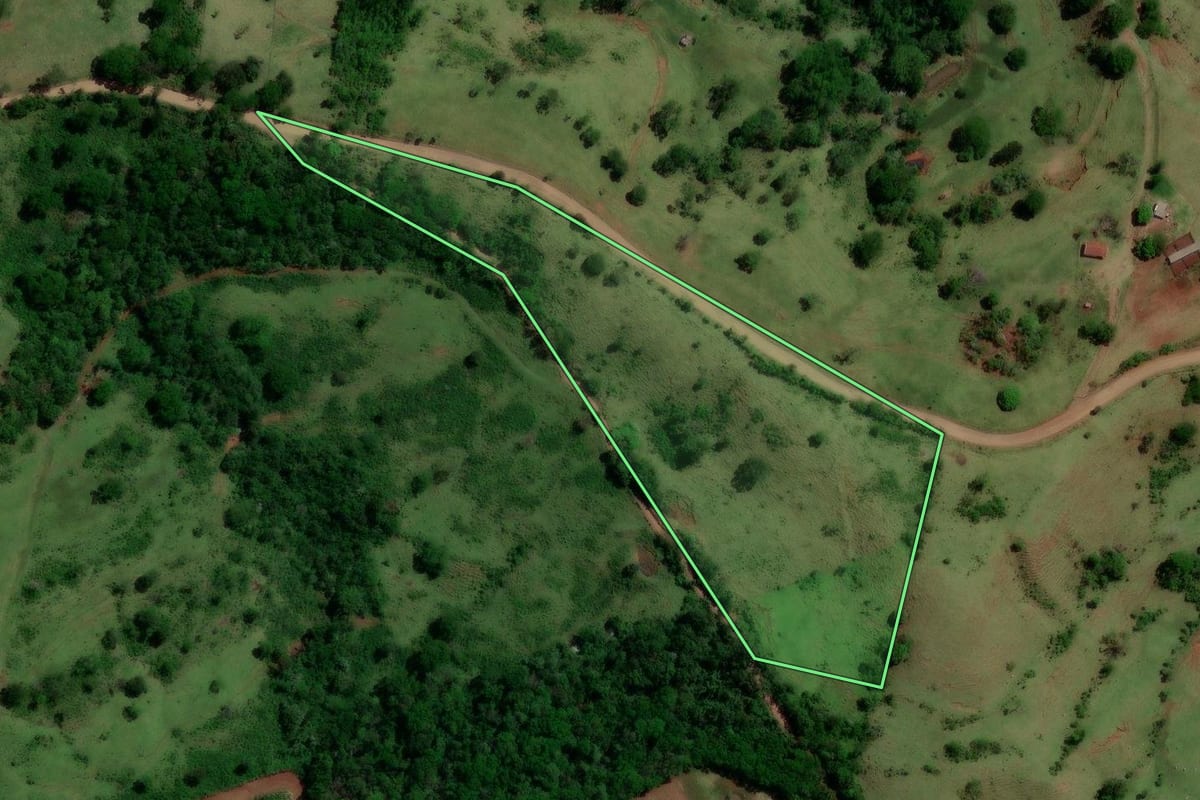 Imagem de satélite do imóvel rural em Altamira do Paraná (PR), com o contorno declarado no CAR desenhado por cima.
