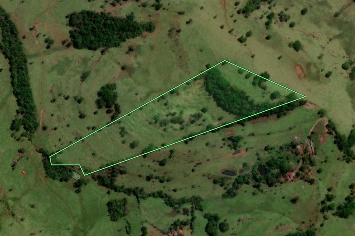 Imagem de satélite do imóvel rural em Altamira do Paraná (PR), com o contorno declarado no CAR desenhado por cima.