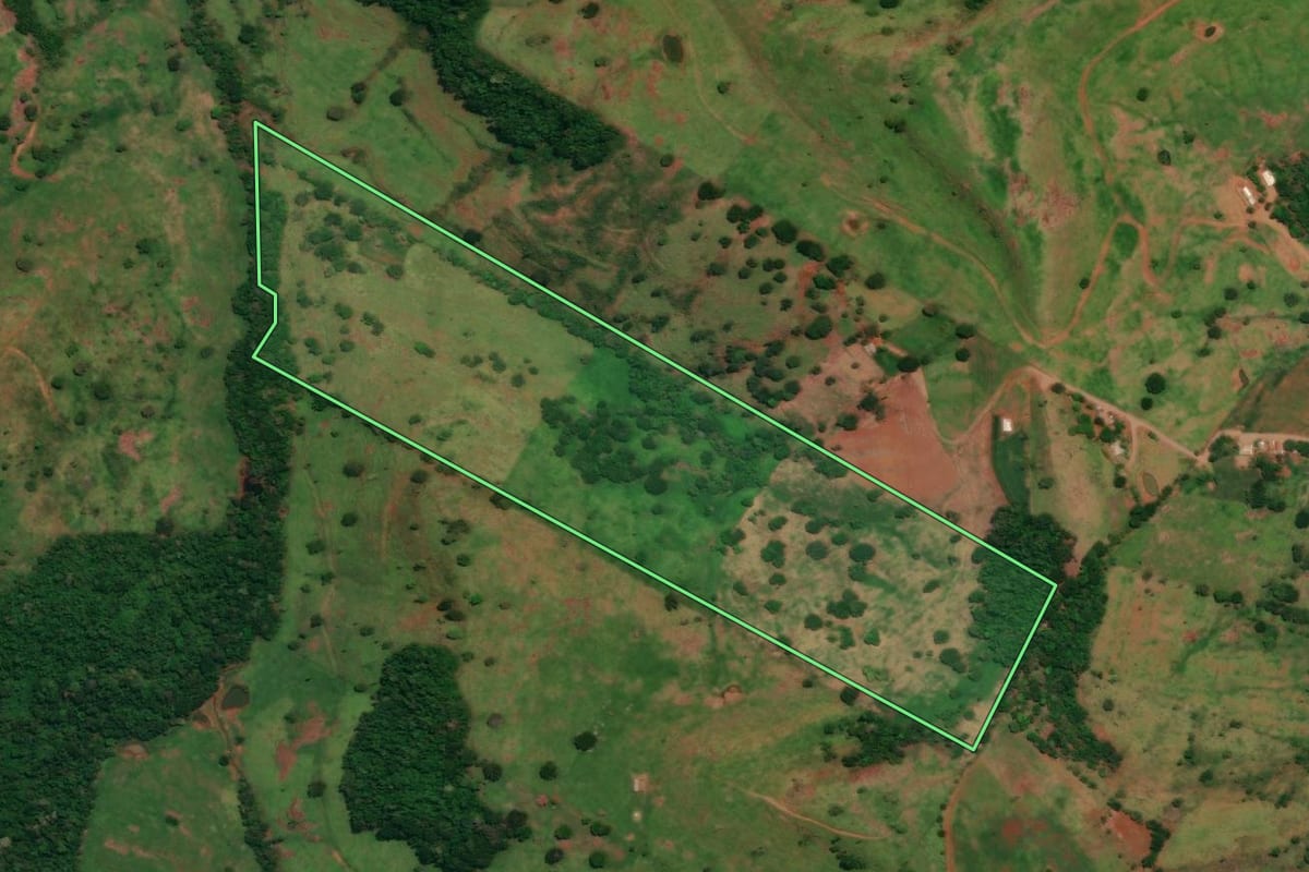 Imagem de satélite do imóvel rural em Altamira do Paraná (PR), com o contorno declarado no CAR desenhado por cima.