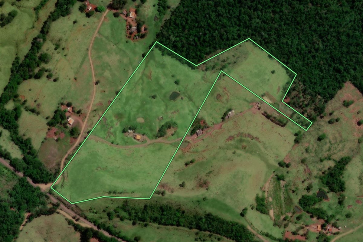 Imagem de satélite do imóvel rural em Altamira do Paraná (PR), com o contorno declarado no CAR desenhado por cima.