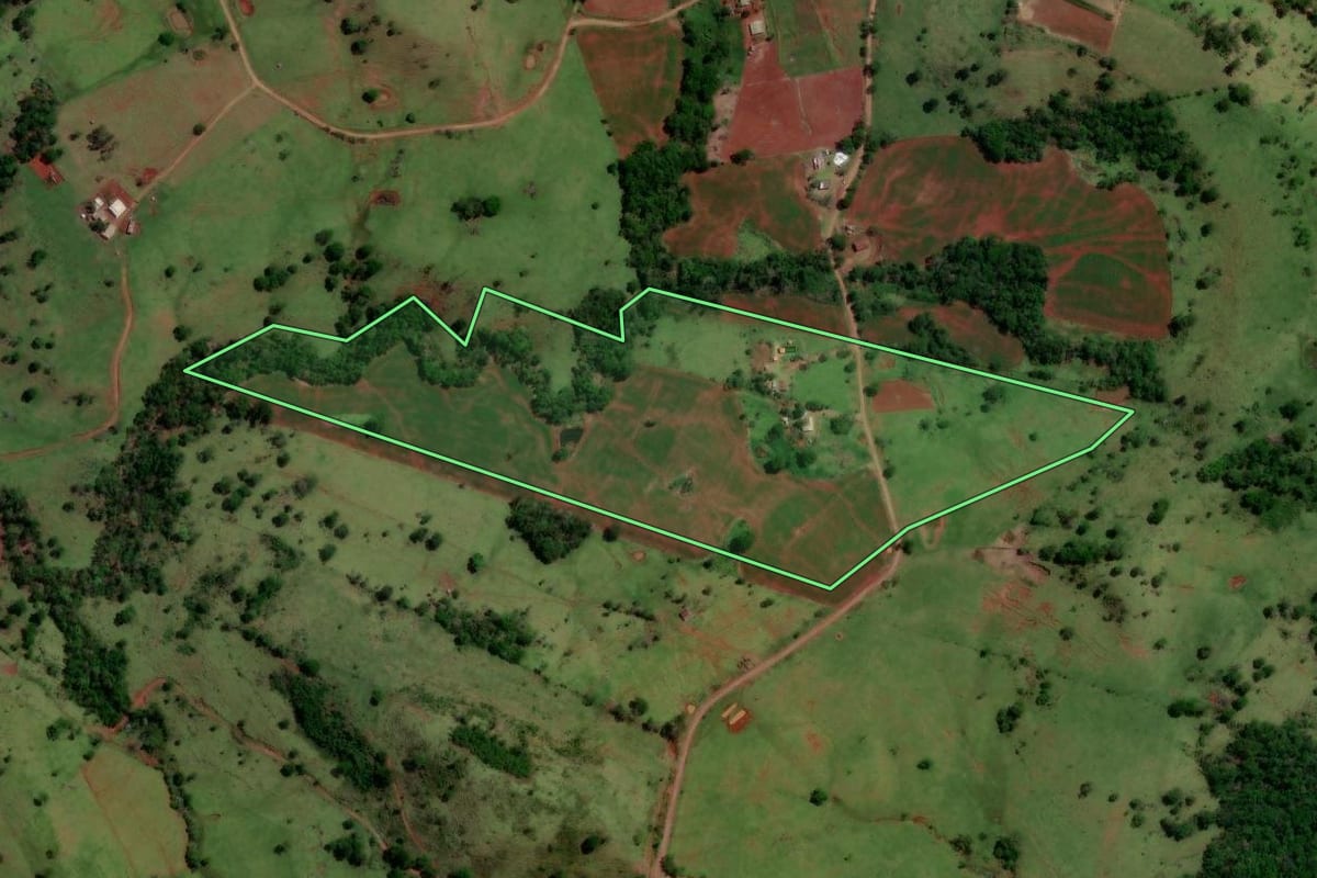 Imagem de satélite do imóvel rural em Altamira do Paraná (PR), com o contorno declarado no CAR desenhado por cima.