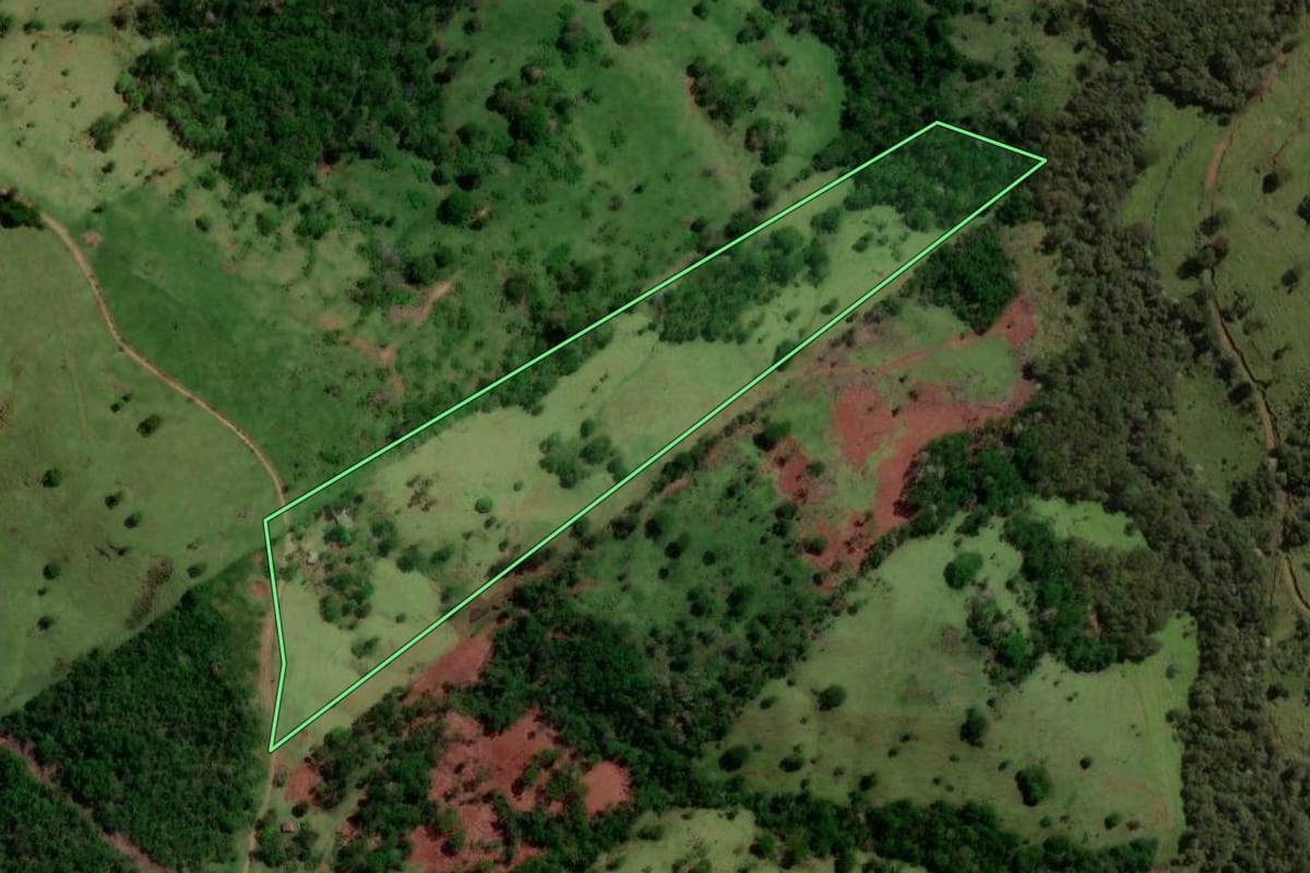Imagem de satélite do imóvel rural em Altamira do Paraná (PR), com o contorno declarado no CAR desenhado por cima.