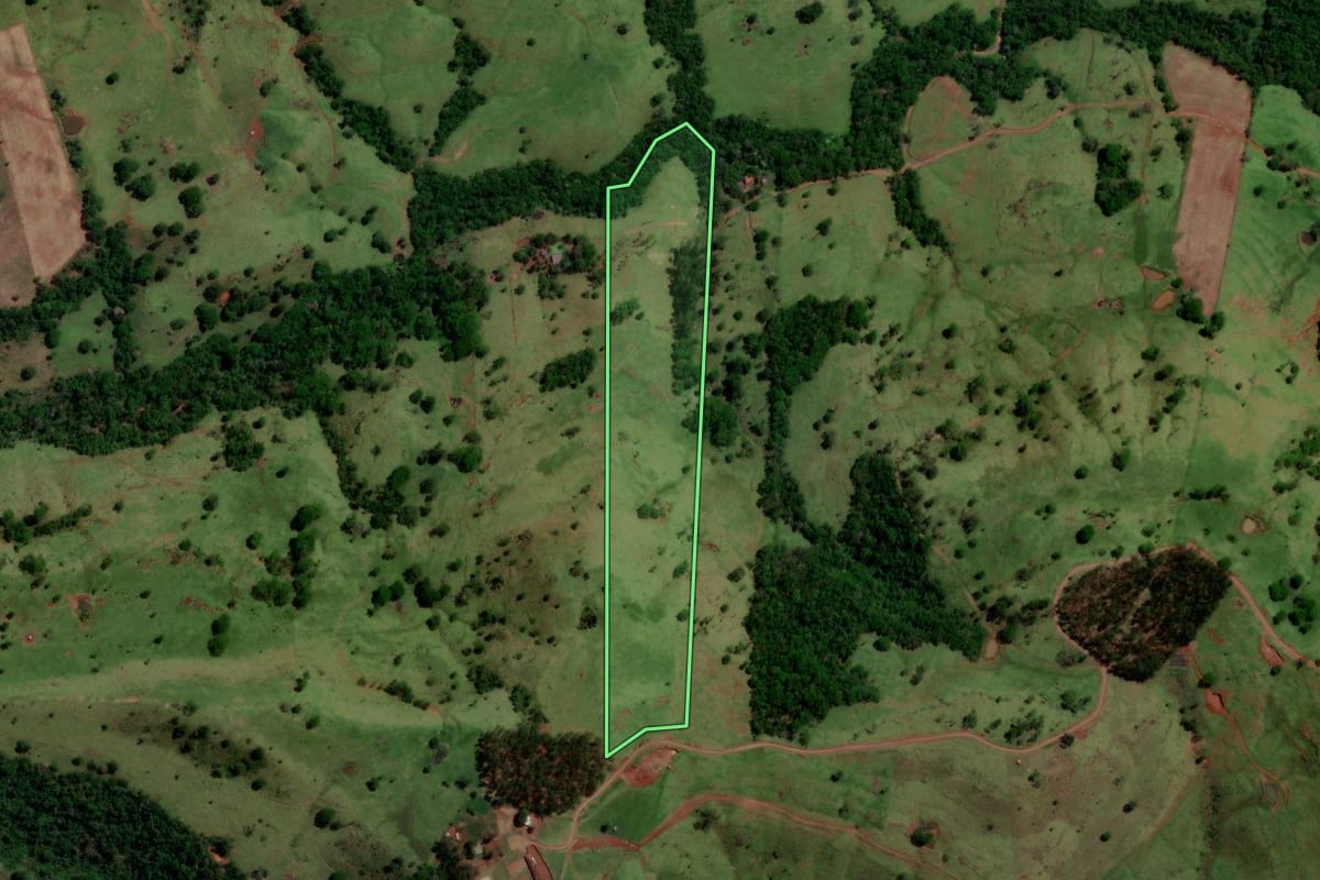 Imagem de satélite do imóvel rural em Altamira do Paraná (PR), com o contorno declarado no CAR desenhado por cima.