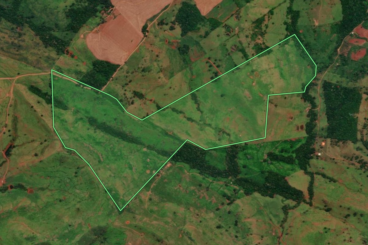 Imagem de satélite do imóvel rural em Altamira do Paraná (PR), com o contorno declarado no CAR desenhado por cima.