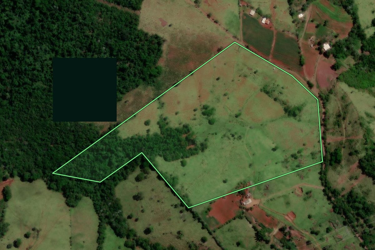 Imagem de satélite do imóvel rural em Altamira do Paraná (PR), com o contorno declarado no CAR desenhado por cima.
