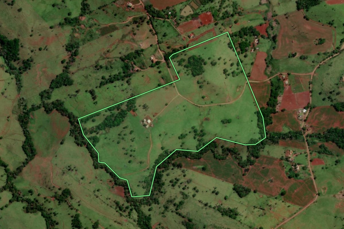 Imagem de satélite do imóvel rural em Altamira do Paraná (PR), com o contorno declarado no CAR desenhado por cima.