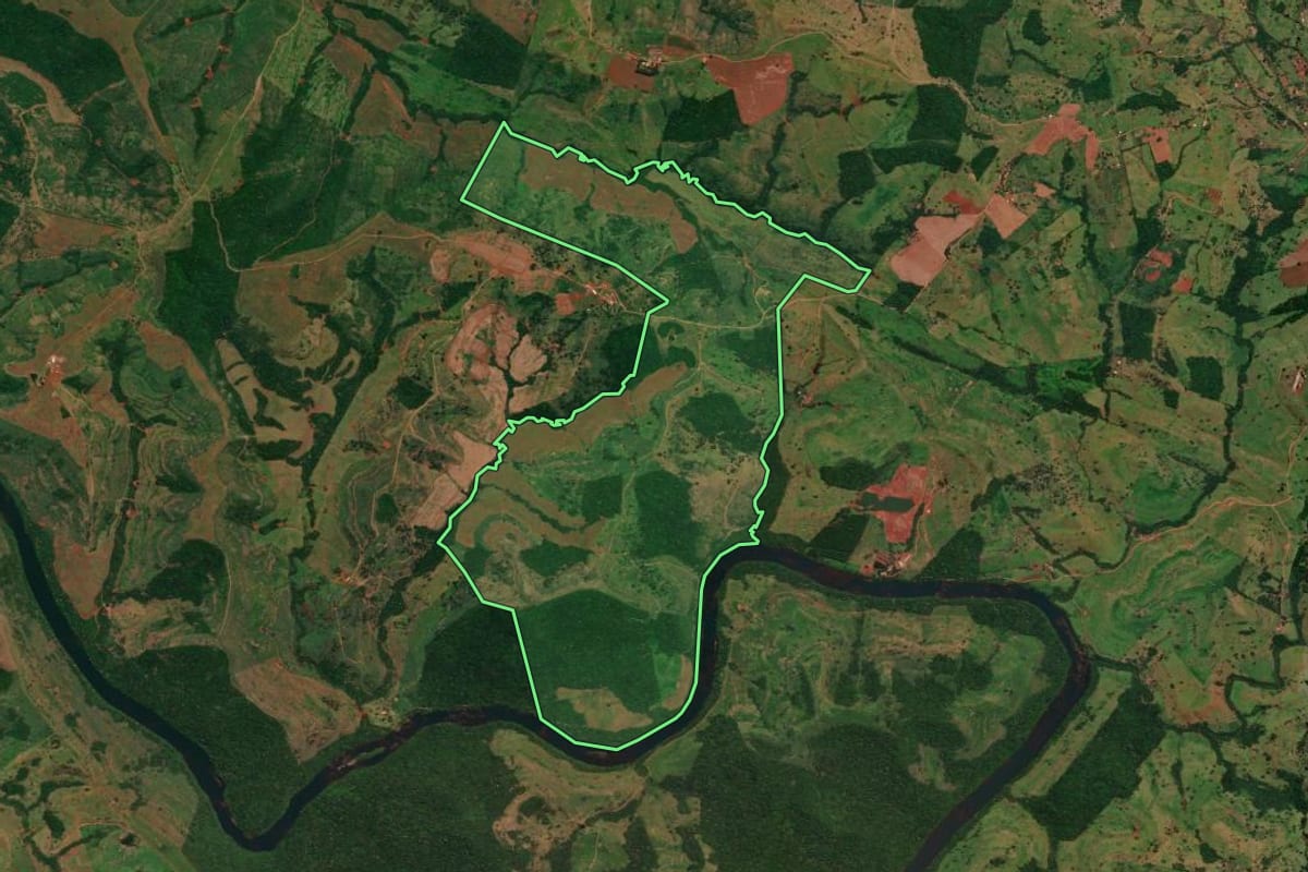 Imagem de satélite do imóvel rural em Altamira do Paraná (PR), com o contorno declarado no CAR desenhado por cima.