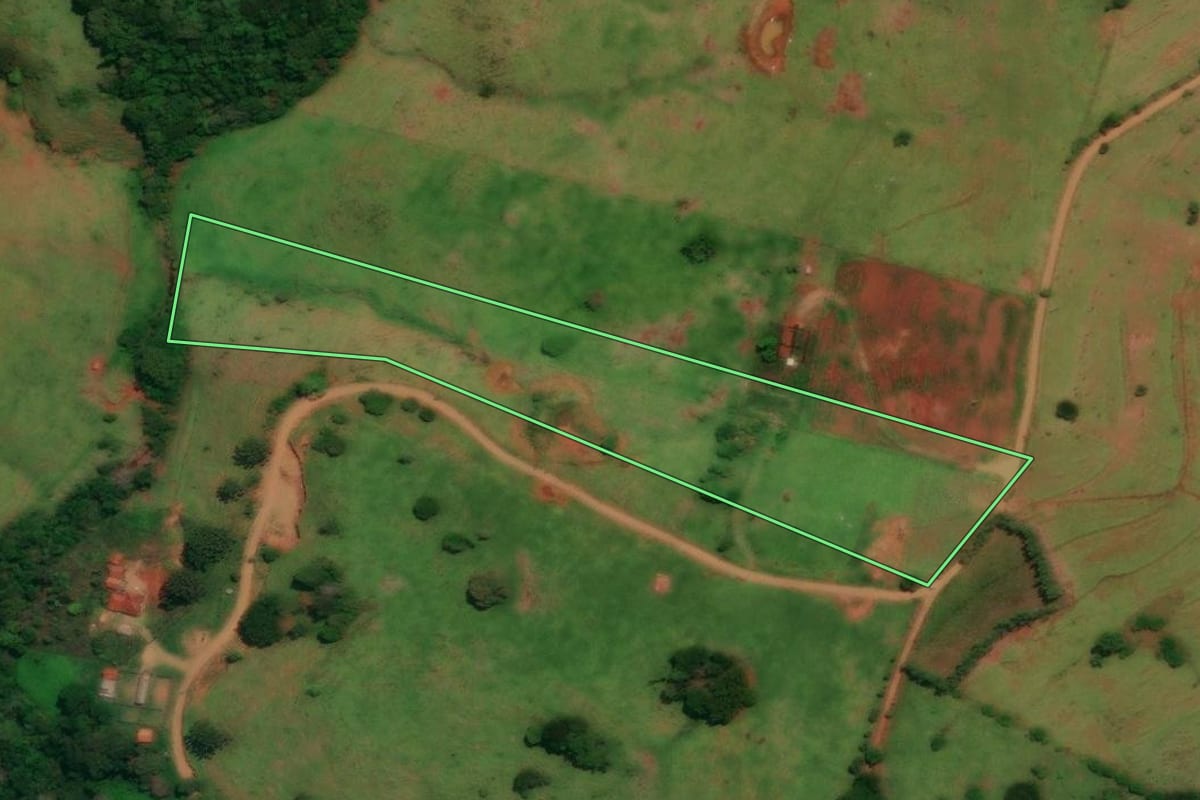 Imagem de satélite do imóvel rural em Altamira do Paraná (PR), com o contorno declarado no CAR desenhado por cima.