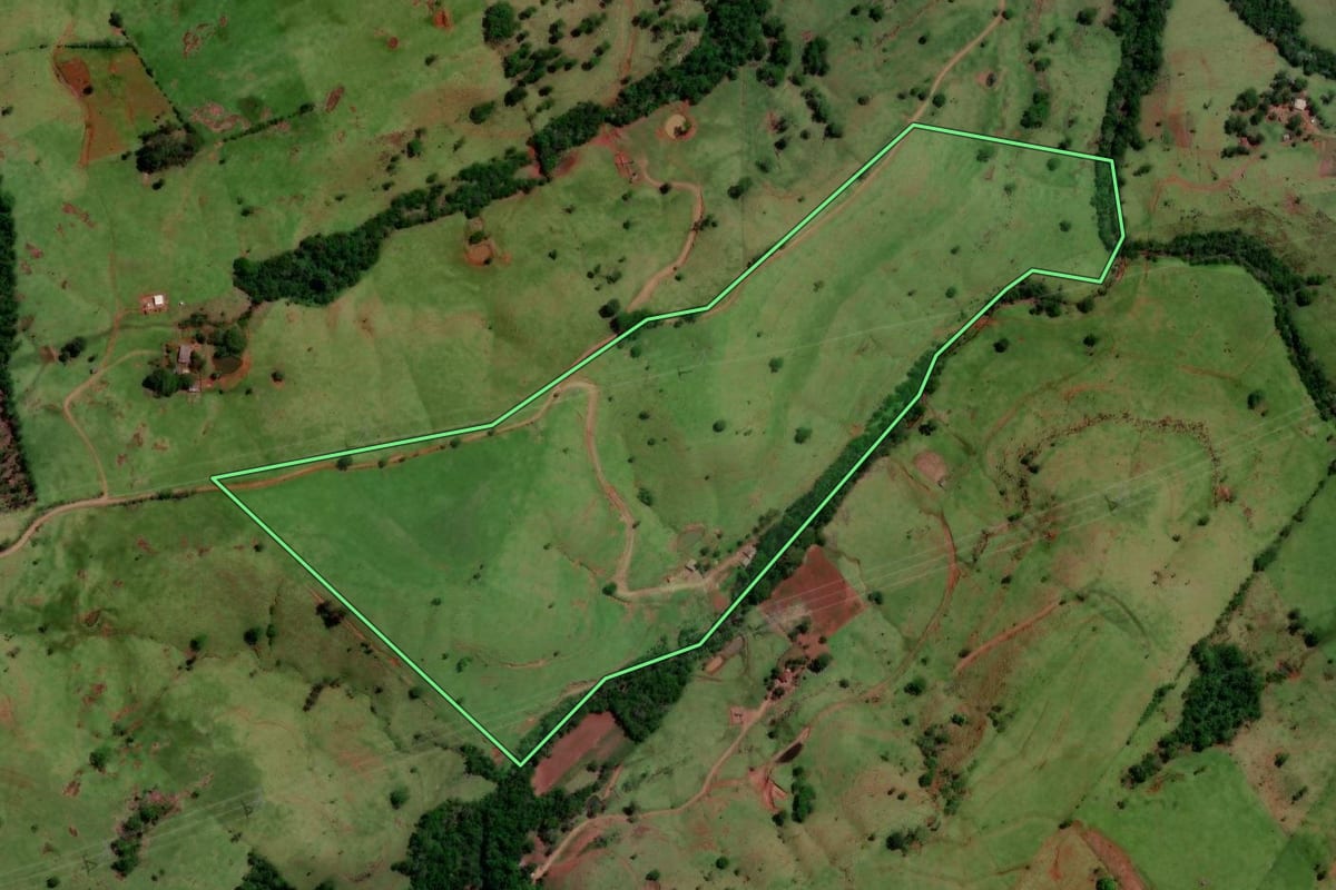Imagem de satélite do imóvel rural em Altamira do Paraná (PR), com o contorno declarado no CAR desenhado por cima.