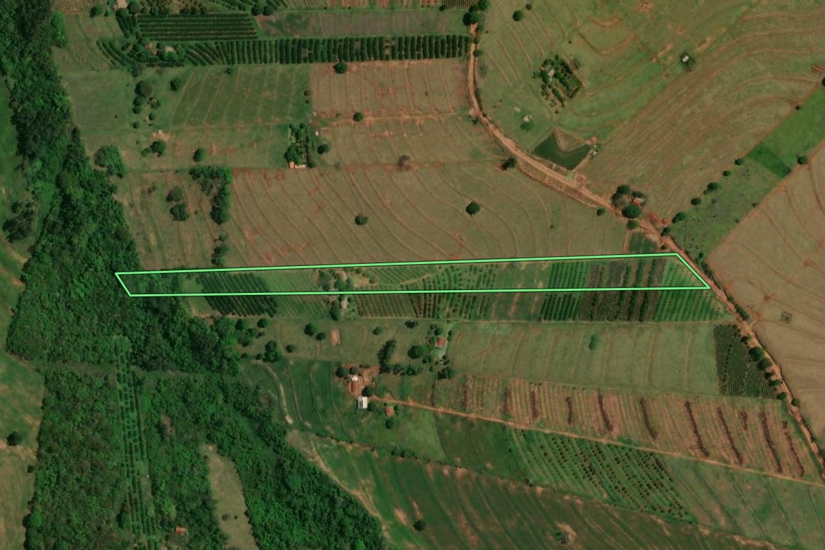 Imagem de satélite do imóvel rural em Altônia (PR), com o contorno declarado no CAR desenhado por cima.