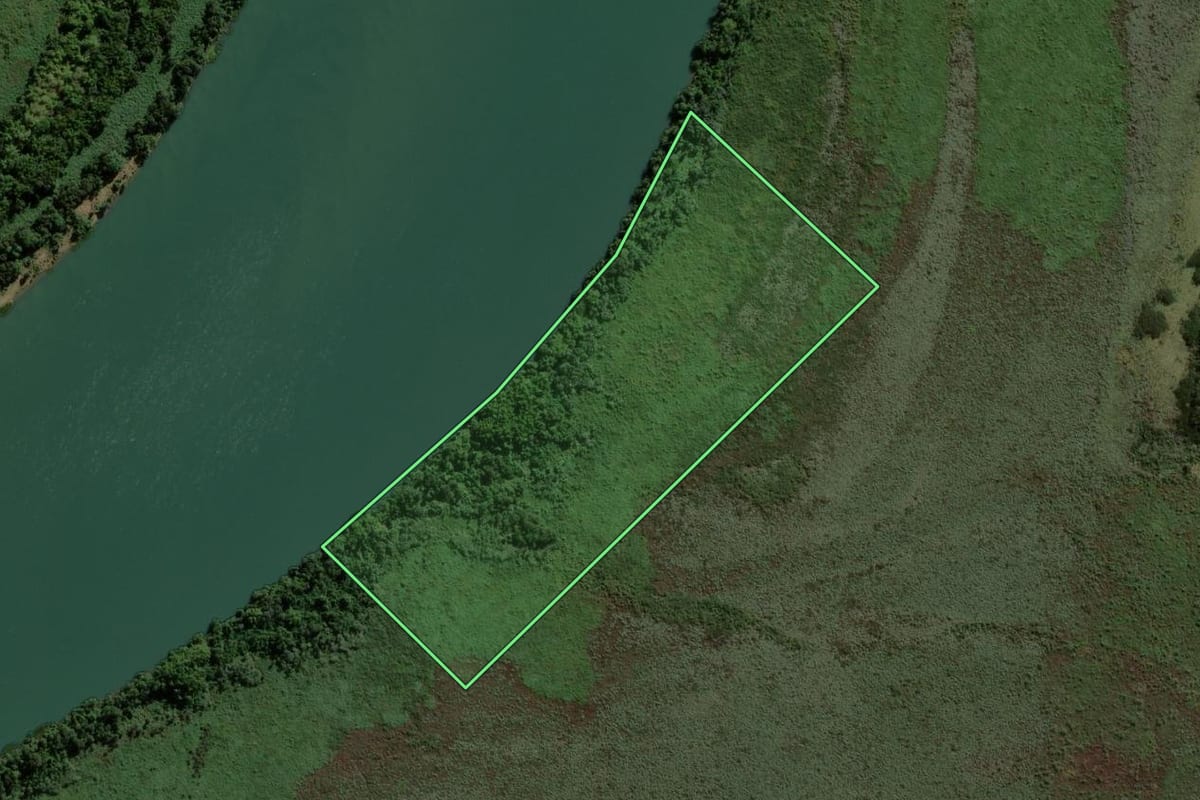 Imagem de satélite do imóvel rural em Altônia (PR), com o contorno declarado no CAR desenhado por cima.