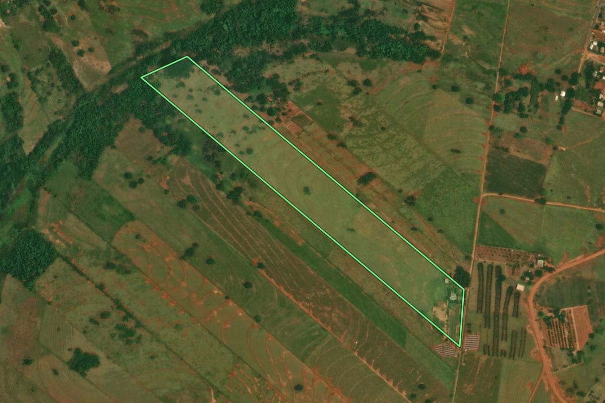 Imagem de satélite do imóvel rural em Altônia (PR), com o contorno declarado no CAR desenhado por cima.
