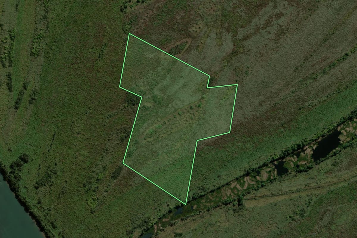 Imagem de satélite do imóvel rural em Altônia (PR), com o contorno declarado no CAR desenhado por cima.