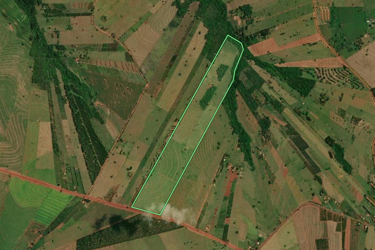 Imagem de satélite do imóvel rural em Altônia (PR), com o contorno declarado no CAR desenhado por cima.