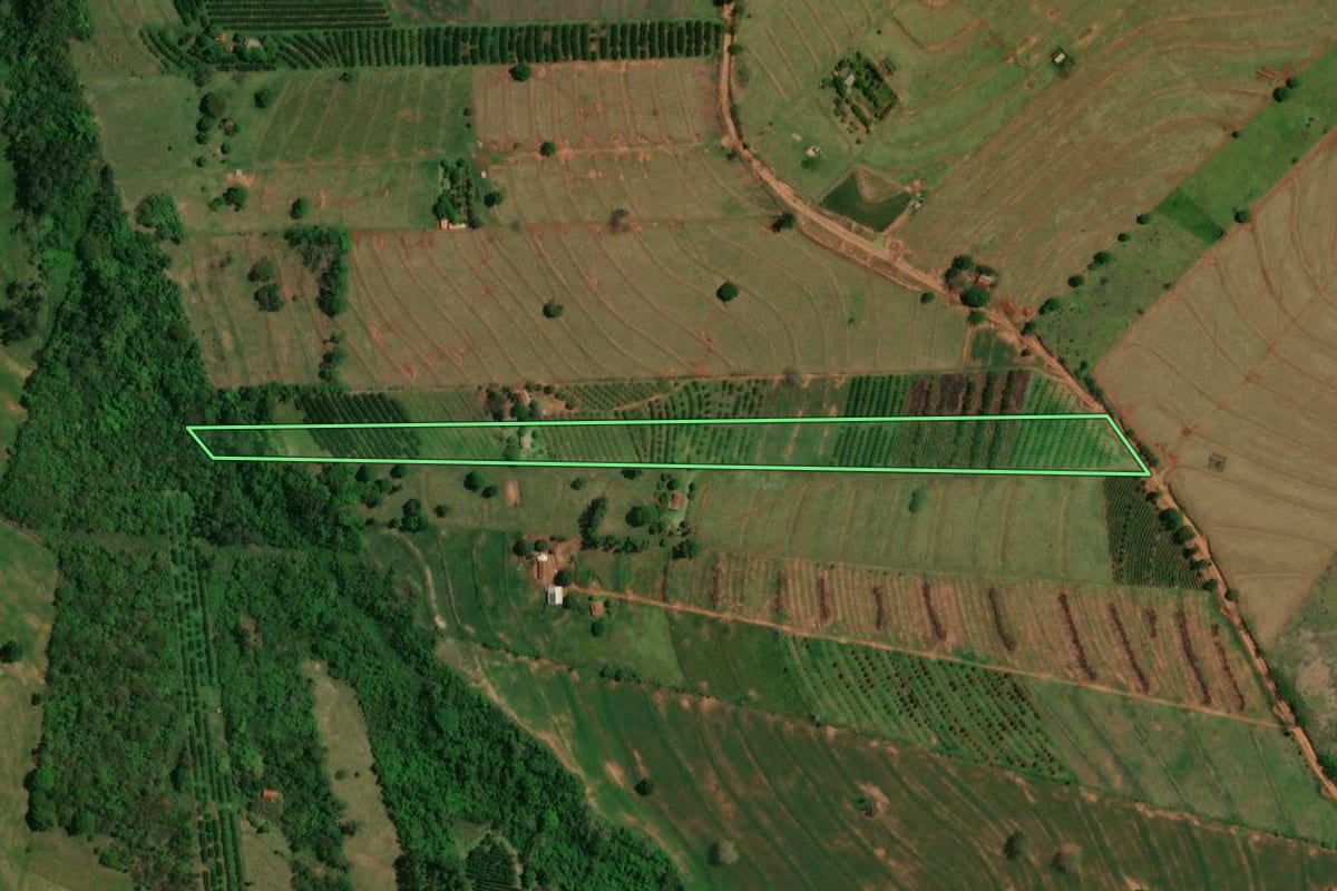 Imagem de satélite do imóvel rural em Altônia (PR), com o contorno declarado no CAR desenhado por cima.