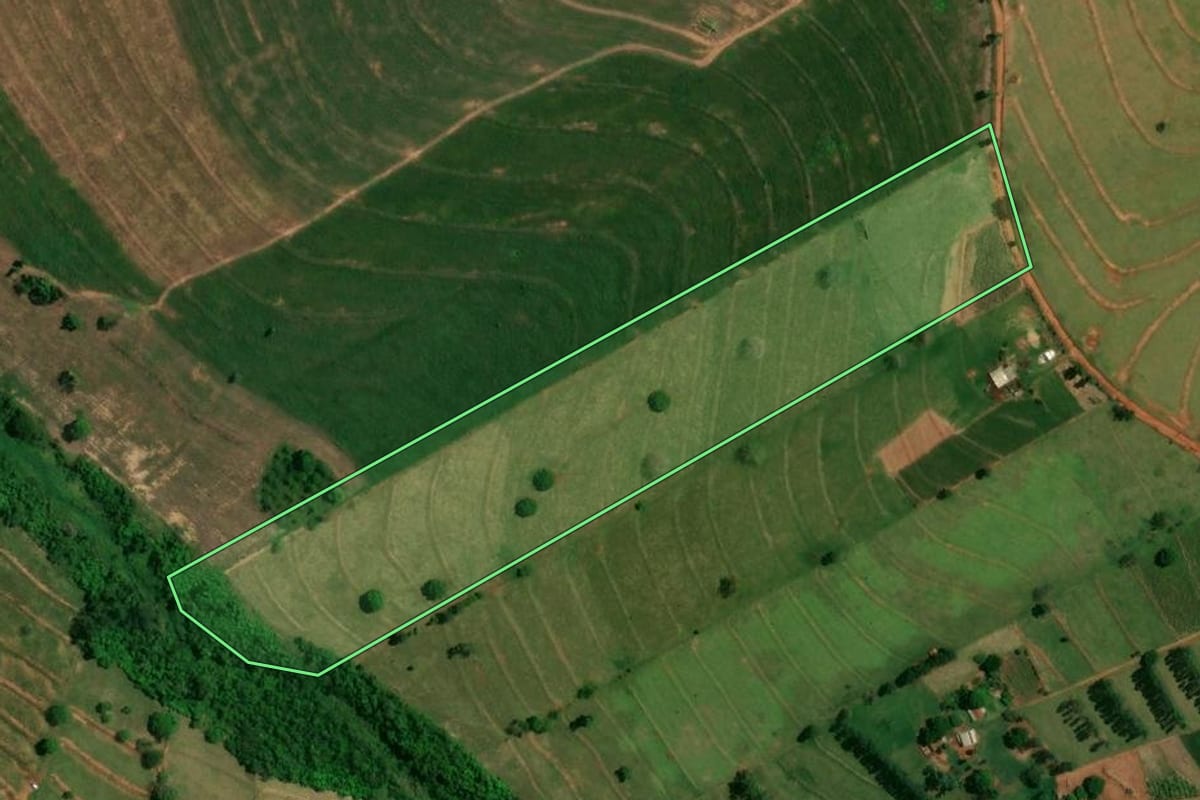 Imagem de satélite do imóvel rural em Altônia (PR), com o contorno declarado no CAR desenhado por cima.