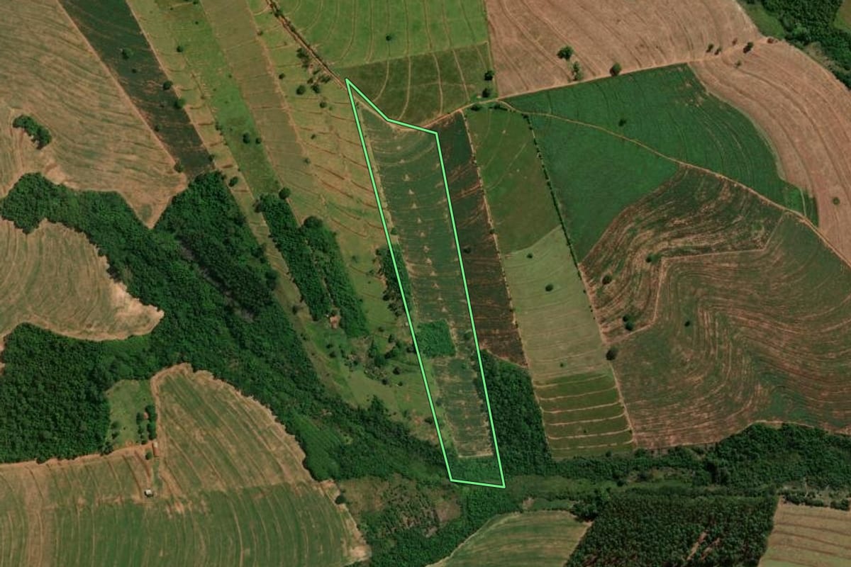 Imagem de satélite do imóvel rural em Altônia (PR), com o contorno declarado no CAR desenhado por cima.