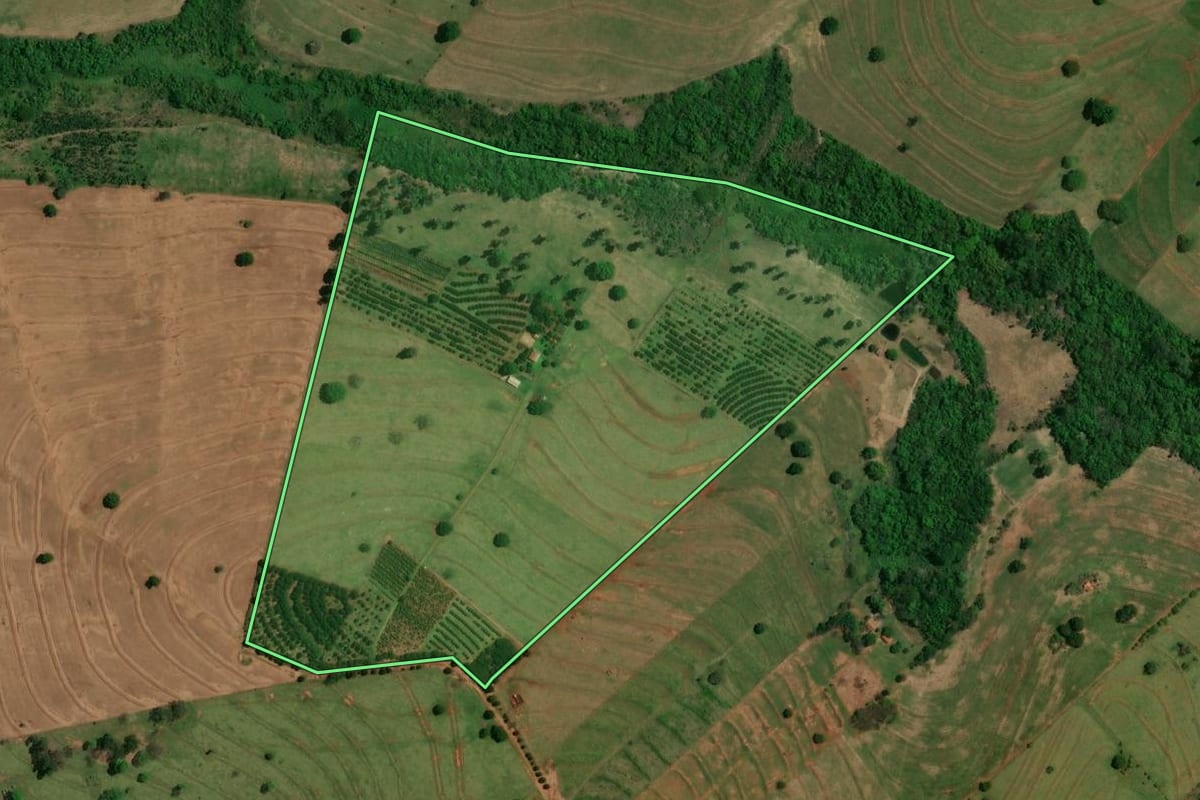 Imagem de satélite do imóvel rural em Altônia (PR), com o contorno declarado no CAR desenhado por cima.