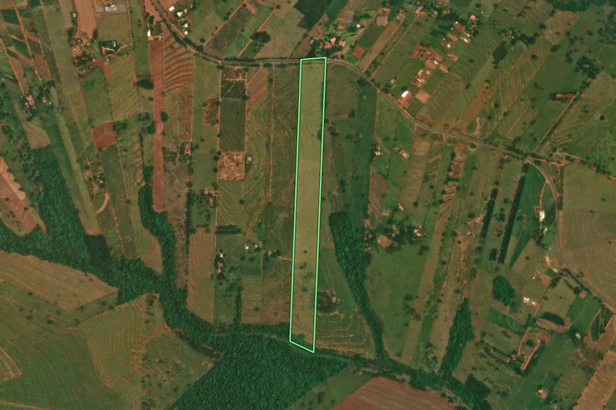 Imagem de satélite do imóvel rural em Altônia (PR), com o contorno declarado no CAR desenhado por cima.