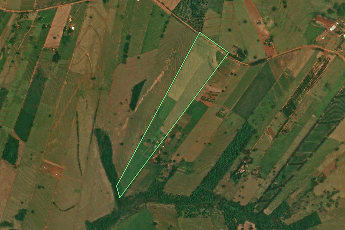 Imagem de satélite do imóvel rural em Altônia (PR), com o contorno declarado no CAR desenhado por cima.