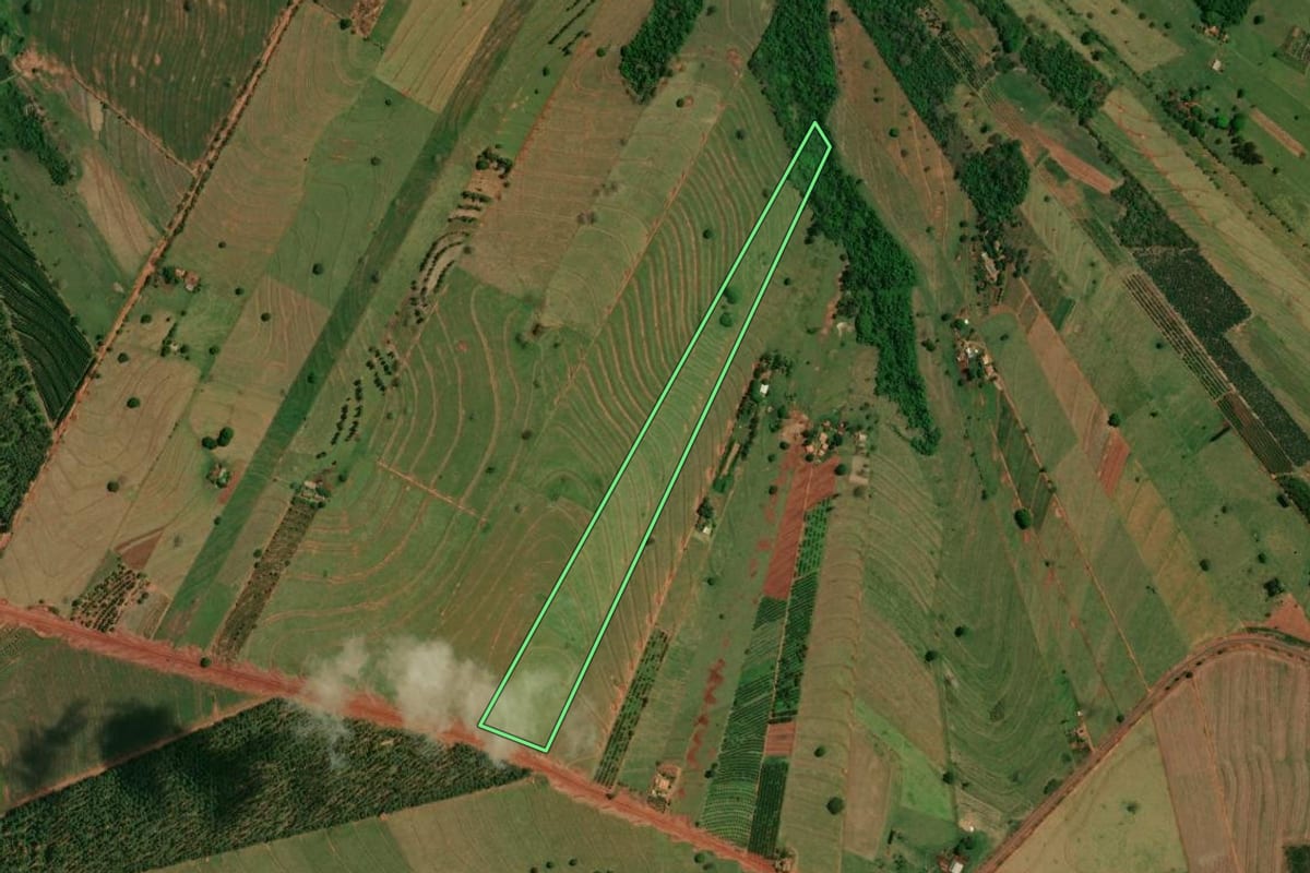 Imagem de satélite do imóvel rural em Altônia (PR), com o contorno declarado no CAR desenhado por cima.